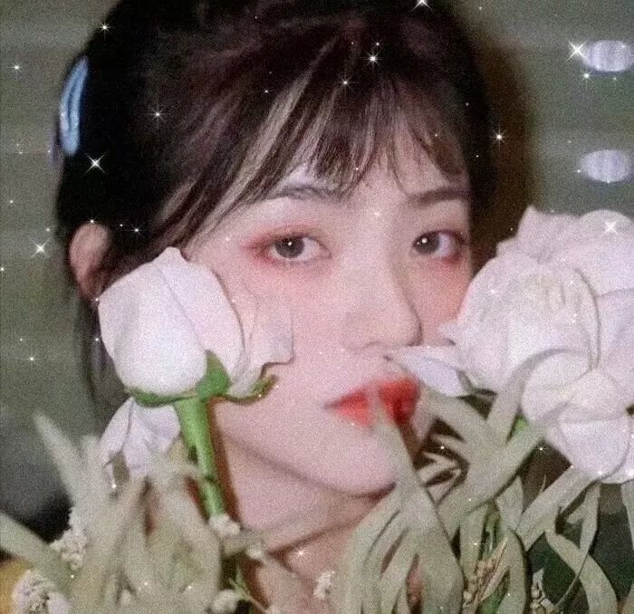 西部骑士